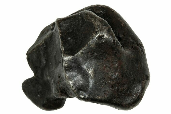 Fusion Crusted Sikhote-Alin Iron Meteorite ( g) - Russia #334553